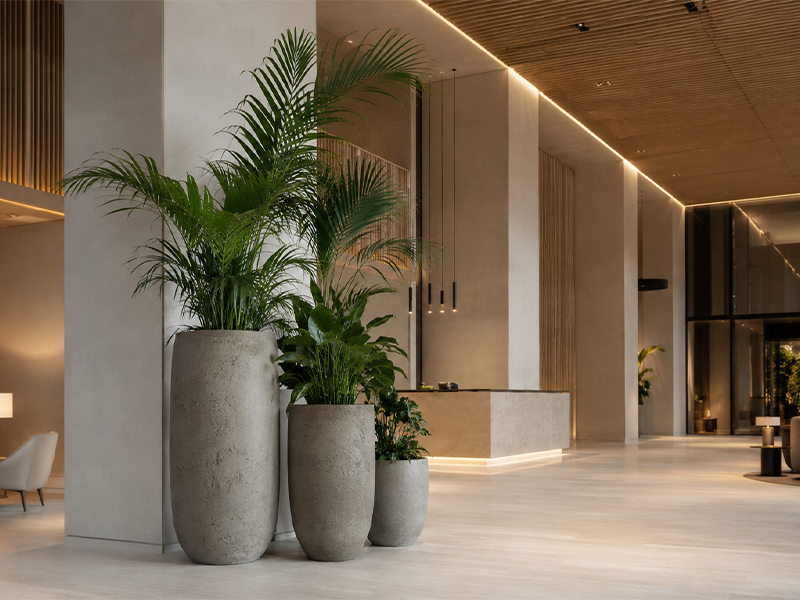 Hisar Saksı Otel ve Lobi Uygulaması